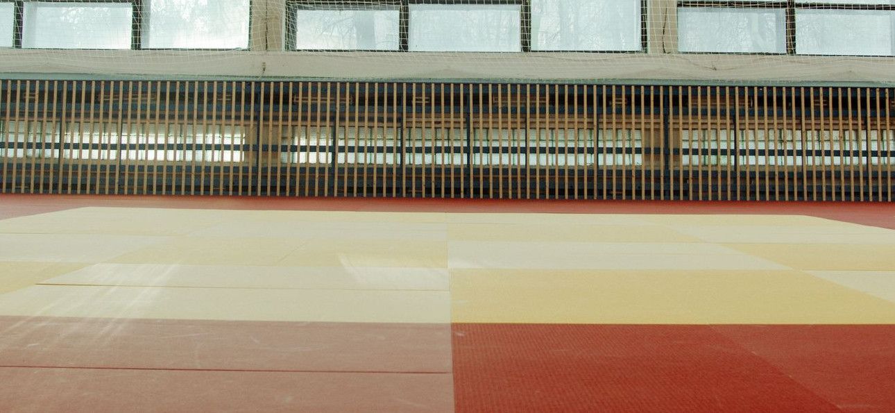 Two martial artists face off in a sunlit dojo, wearing traditional judo gear.